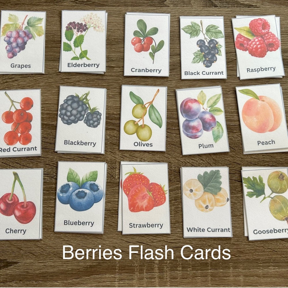 Berries Montessori Memory Match Flash Card Game for Kids